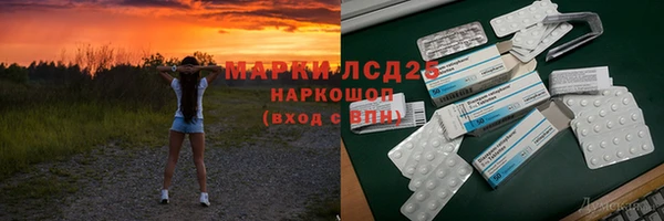 индика Алзамай