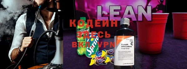 индика Алзамай