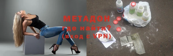 индика Алзамай