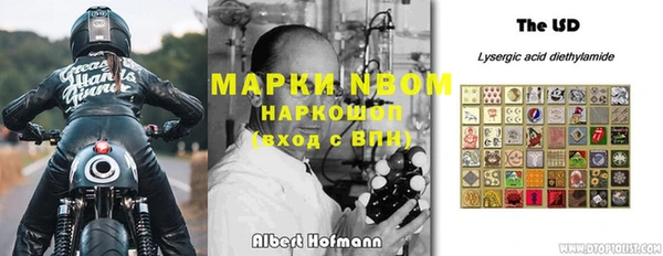 индика Алзамай