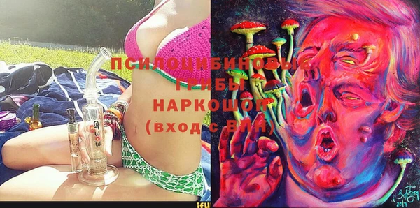 индика Алзамай