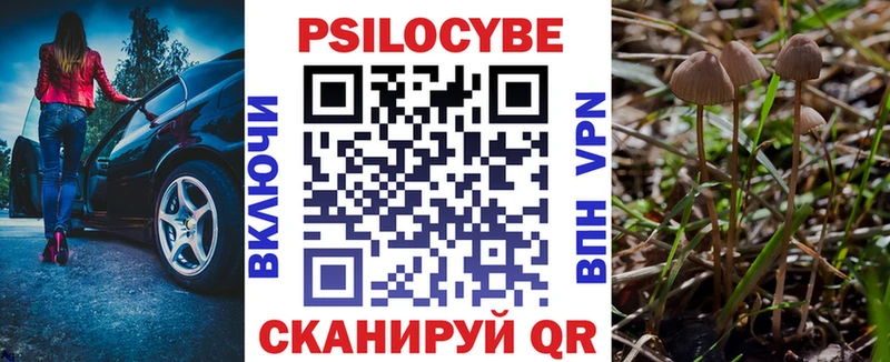 магазин  наркотиков  Пущино  Псилоцибиновые грибы прущие грибы 